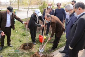 آغاز غرس یک میلیون نهال در سطح شهر تبریز